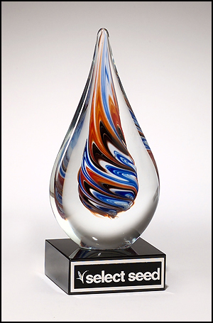 flame glass award